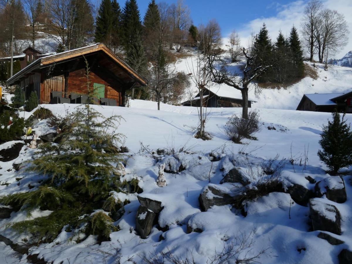 Apartment Chalet Schwendihus-6 By Interhome Гриндельвальд Экстерьер фото