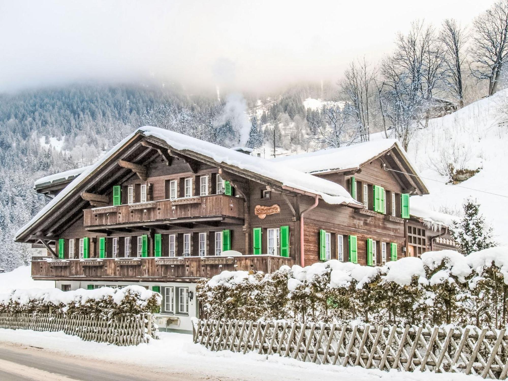Apartment Chalet Schwendihus-6 By Interhome Гриндельвальд Экстерьер фото