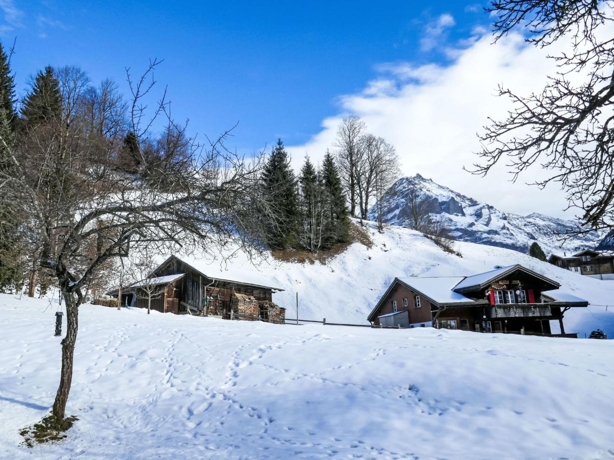 Apartment Chalet Schwendihus-6 By Interhome Гриндельвальд Экстерьер фото